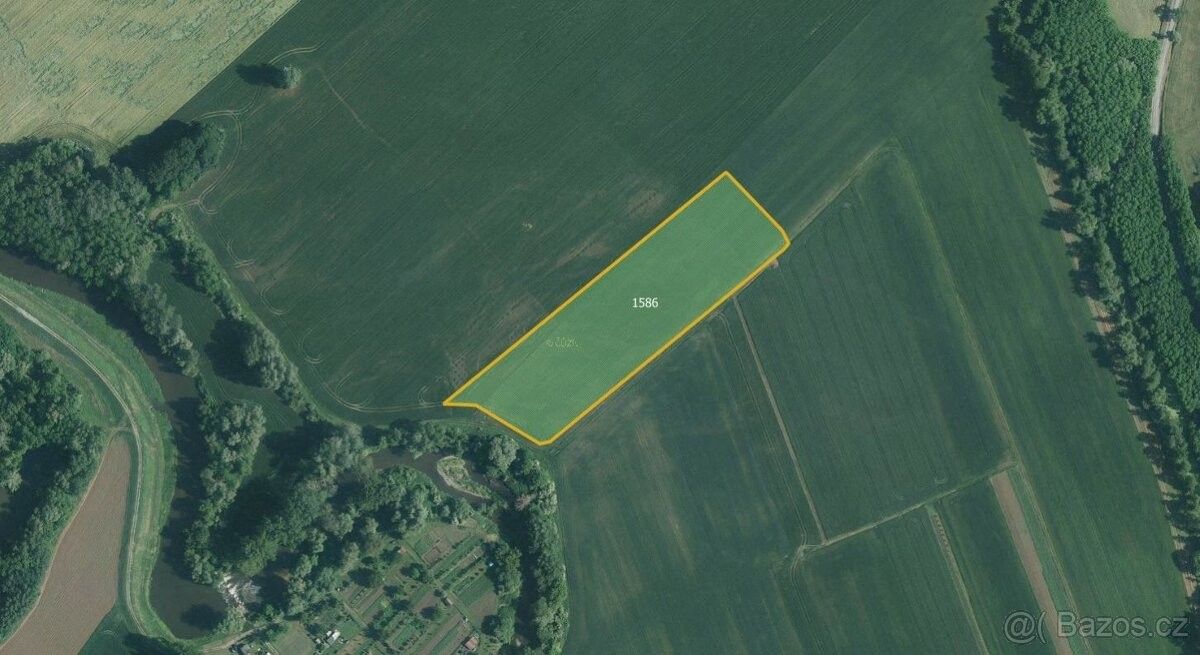 Prodej pozemek - Němčičky u Židlochovic, 664 66, 56 000 m²