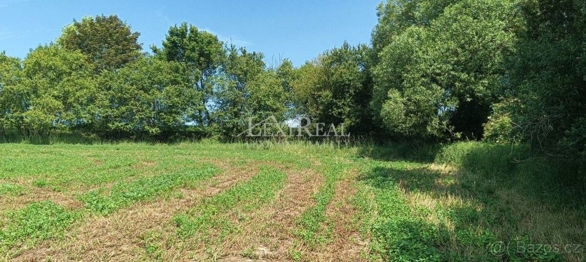 Prodej pozemek pro bydlení - Benešov u Prahy, 256 01, 3 m²