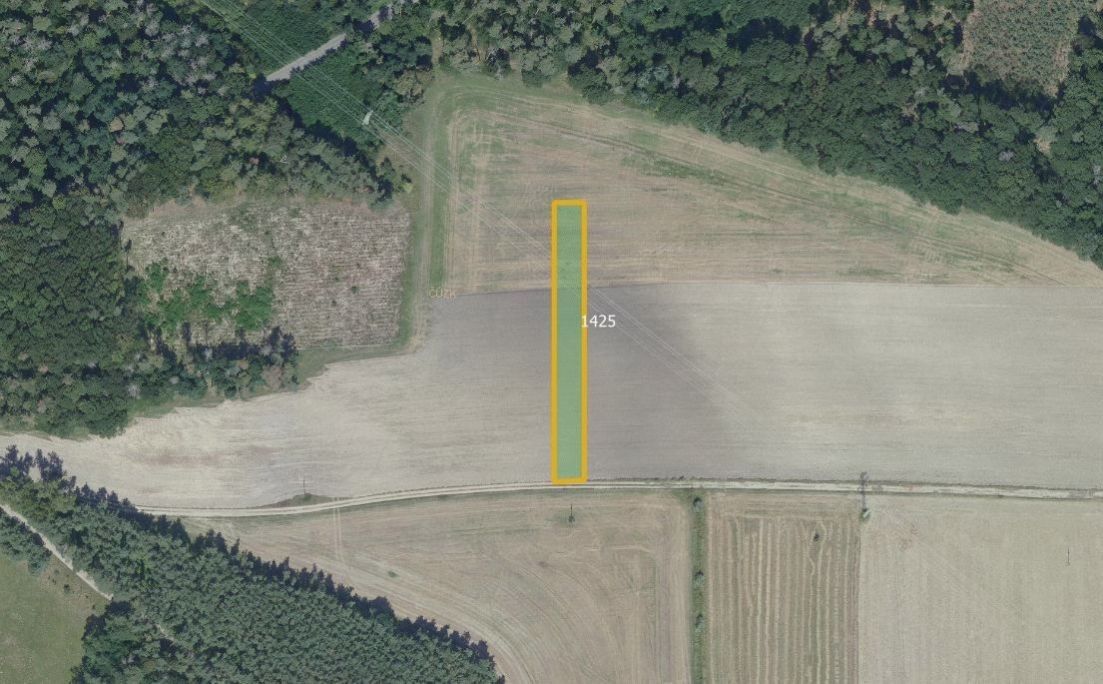 Zemědělské pozemky, Sány, 289 06, 98 m²