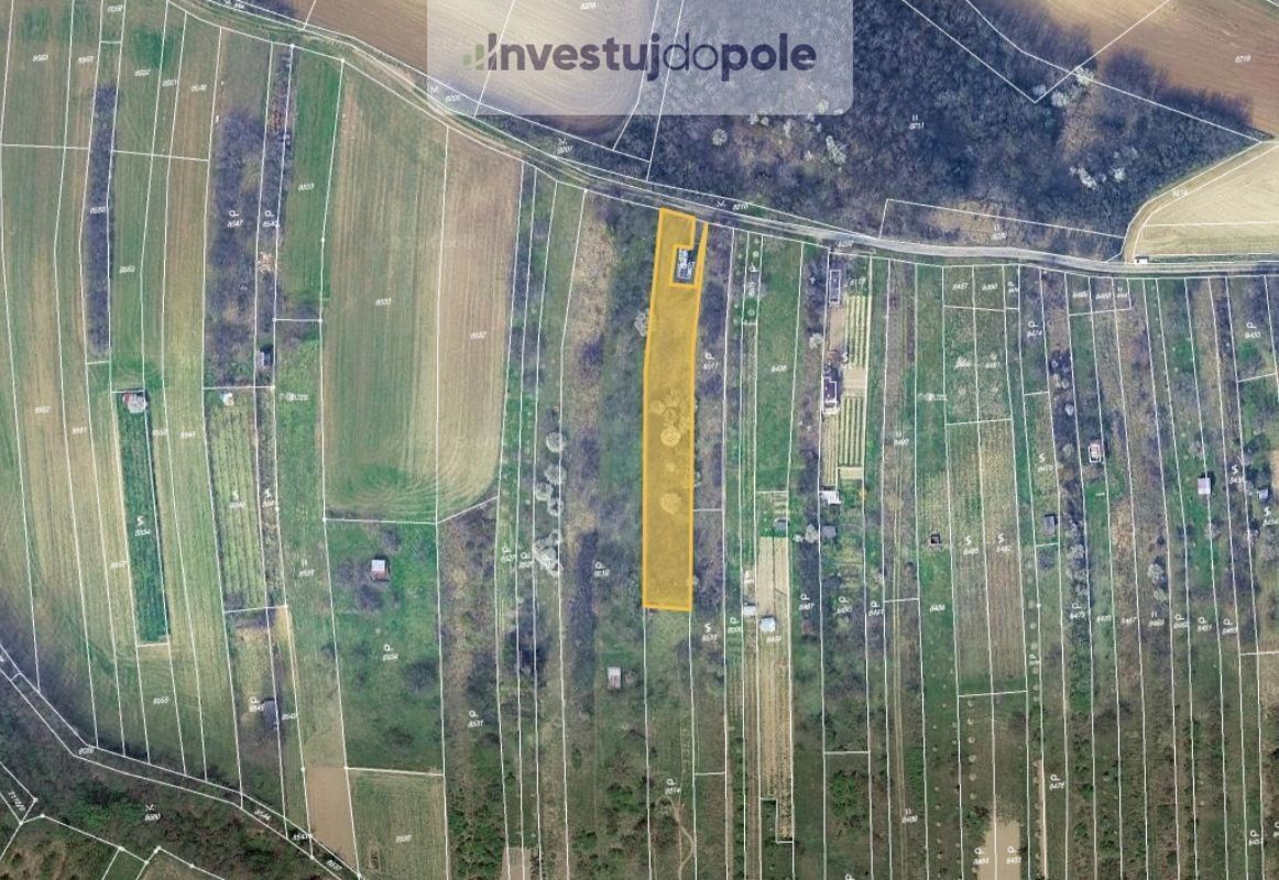 Louky, Klobouky u Brna, 1 680 m²