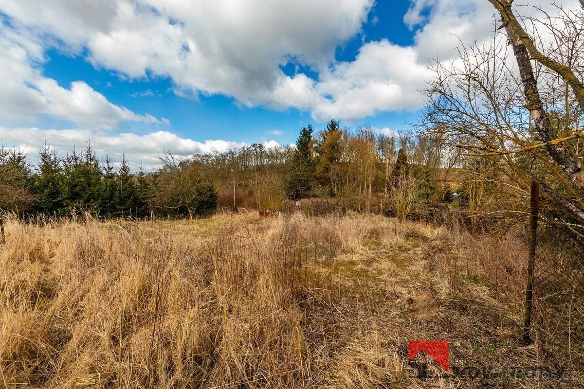 Prodej pozemek pro bydlení - Řepín, 277 33, 707 m²
