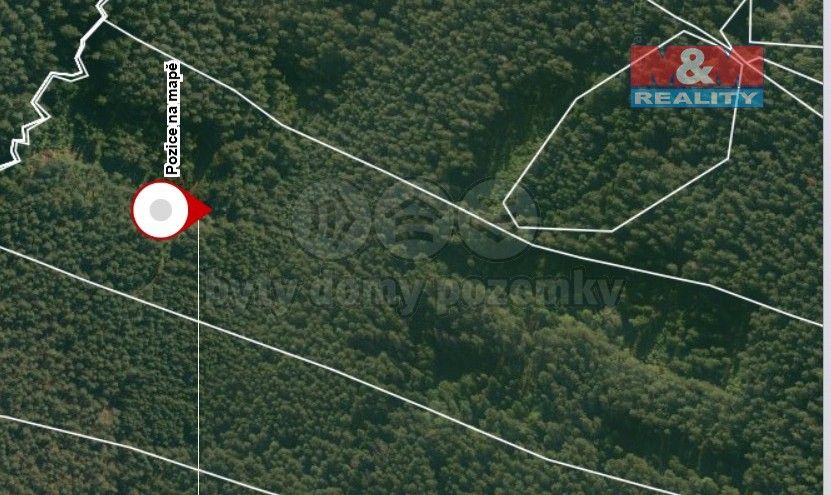 Prodej les - Suchdol nad Lužnicí, 378 06, 22 334 m²