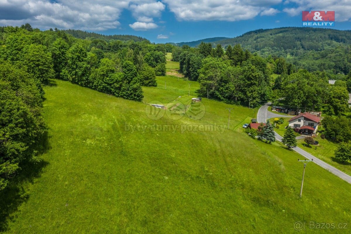 Prodej louka - Železný Brod, 468 22, 3 867 m²