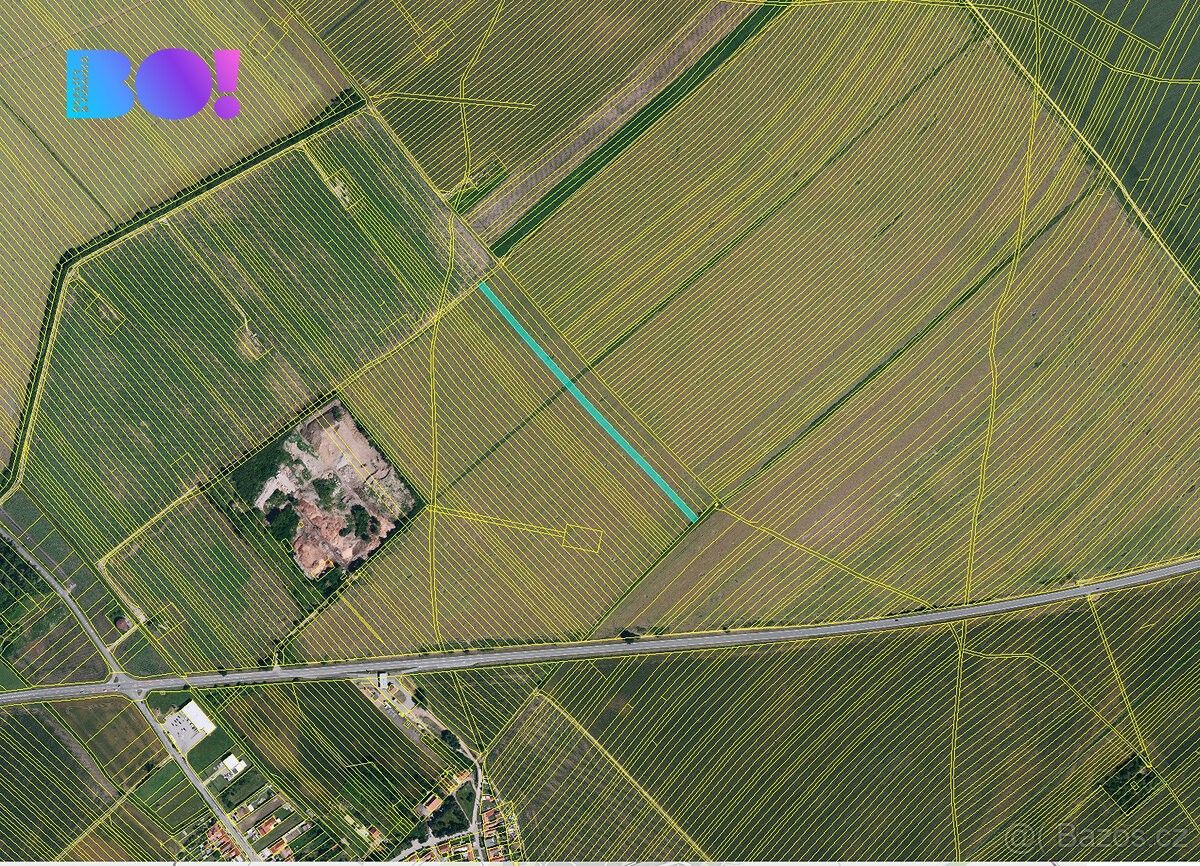 Prodej zemědělský pozemek - Moravská Nová Ves, 691 55, 3 999 m²