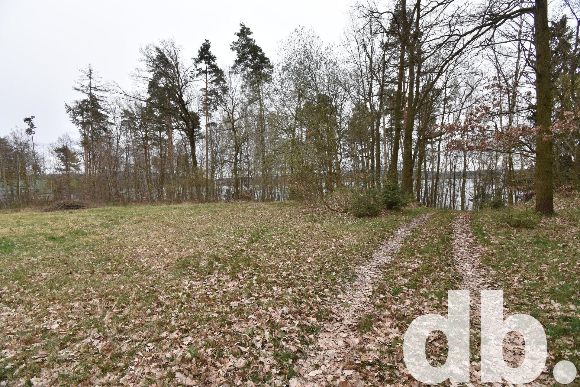 Komerční pozemky, Dřenice, Cheb, 3 887 m²