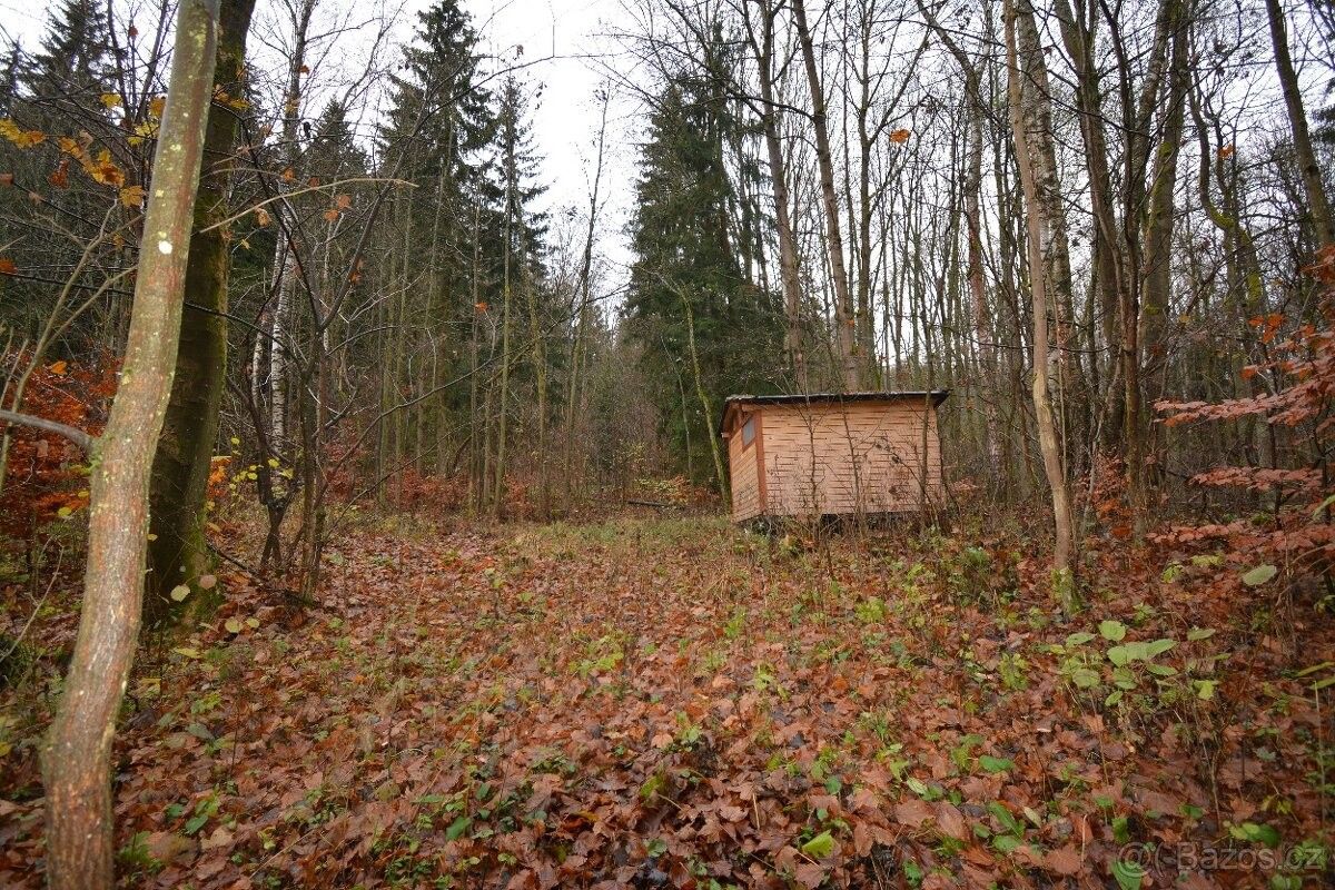 Prodej zahrada - Merklín u Karlových Var, 362 34, 3 609 m²