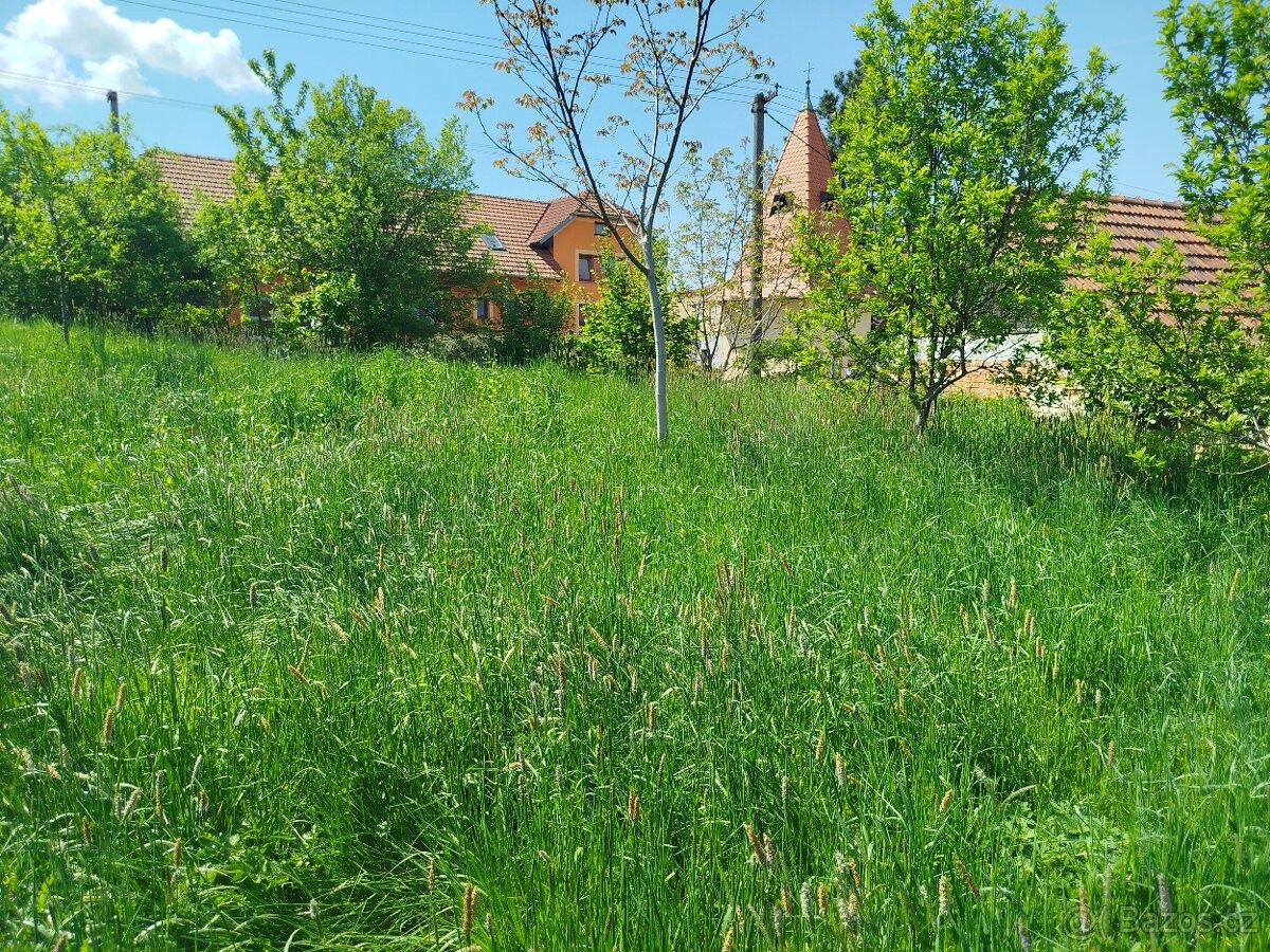 Prodej pozemek pro bydlení - Brno, 627 00, 842 m²