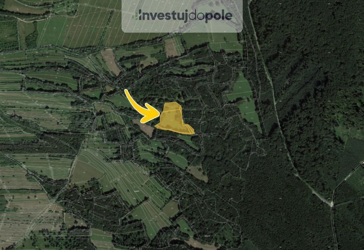 Prodej louka - Velká nad Veličkou, 2 938 m²