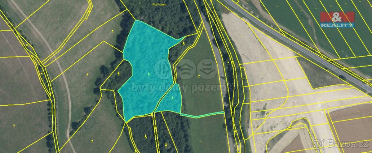 Prodej les - Zábřeh, 789 01, 12 990 m²