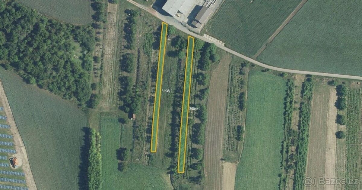 Prodej zemědělský pozemek - Brumovice na Moravě, 691 11