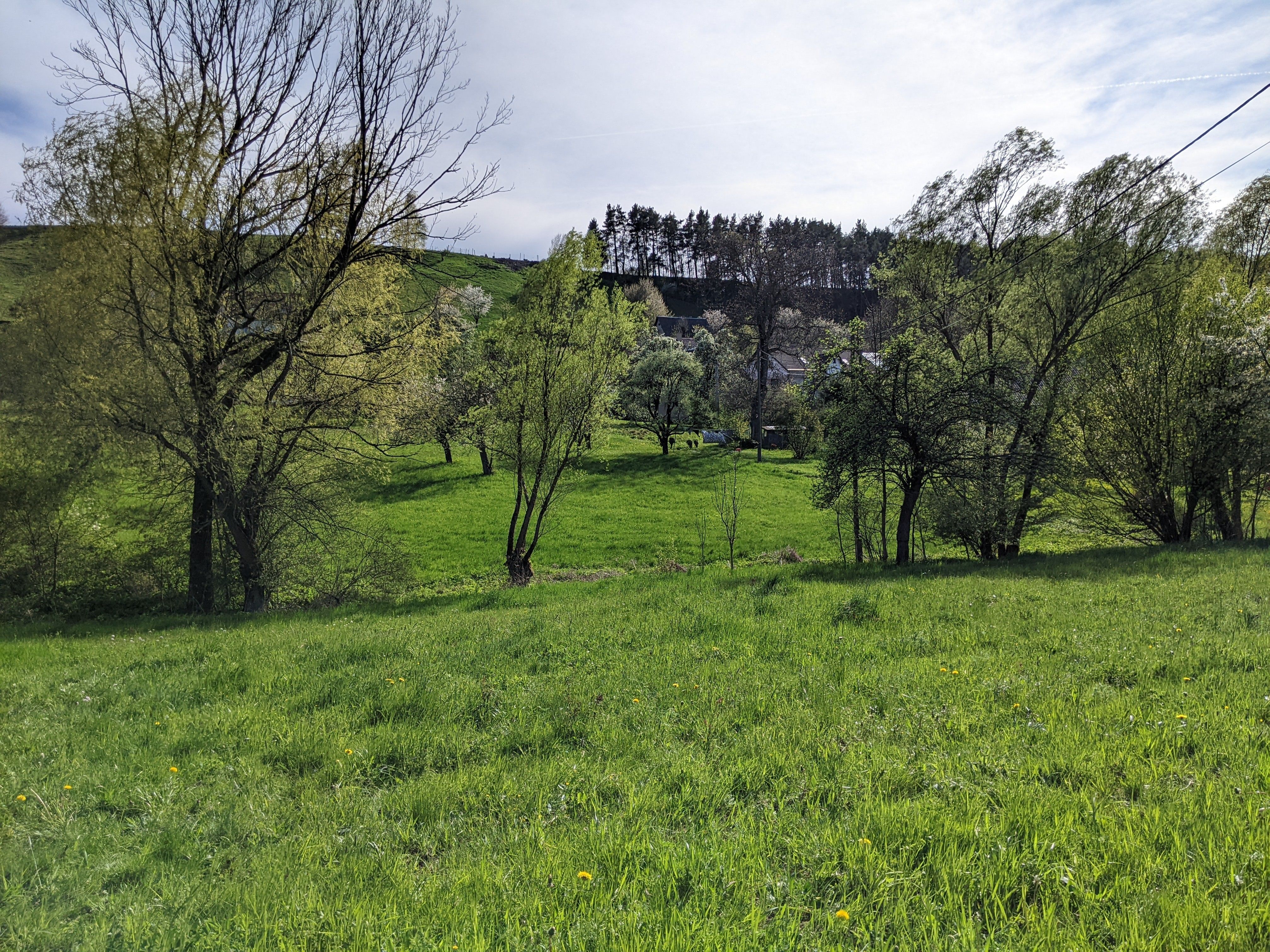 Zahrady, Sestroňovice, Frýdštejn, 2 000 m²