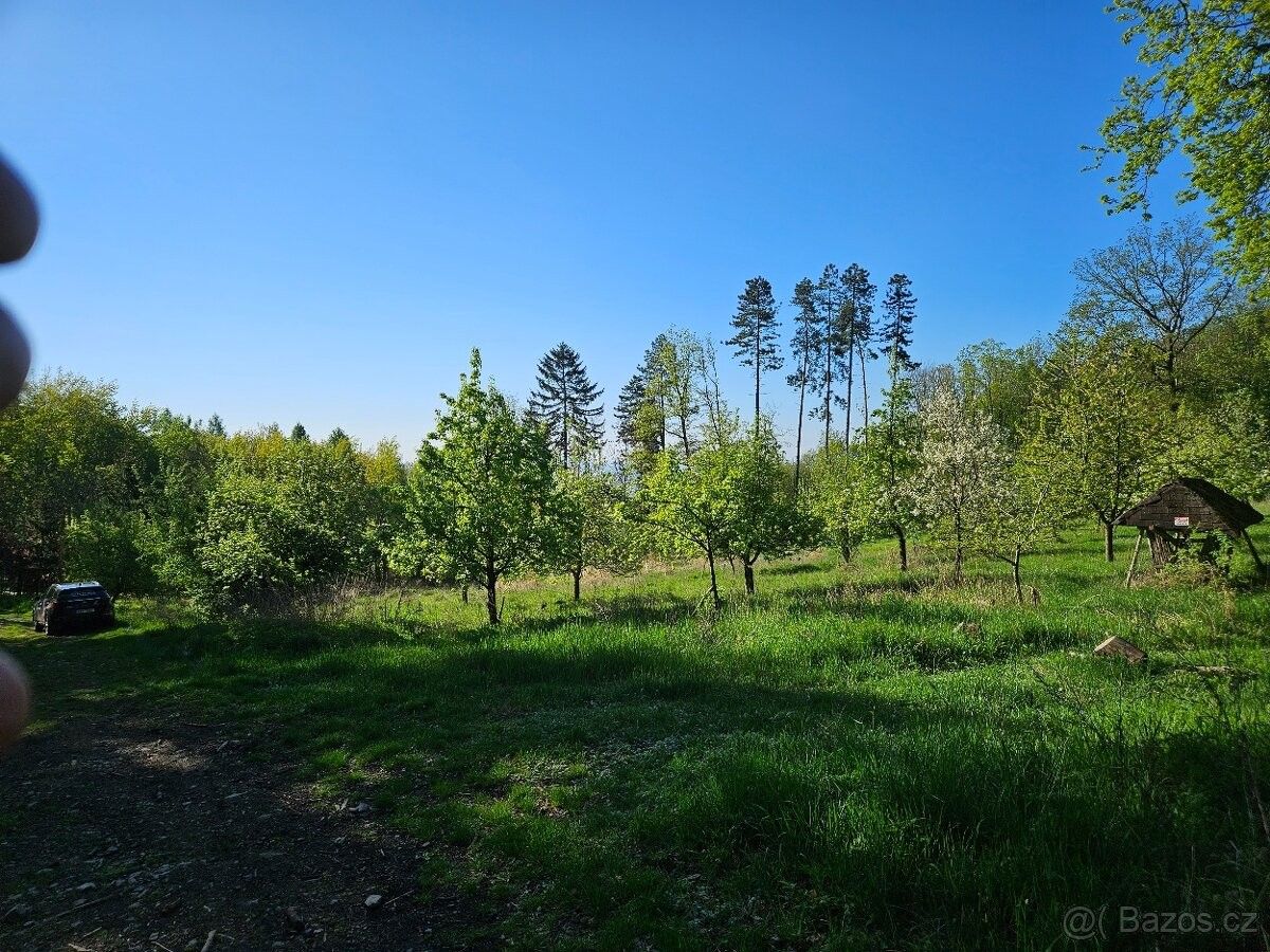 Prodej les - Litoměřice, 412 01, 3 670 m²