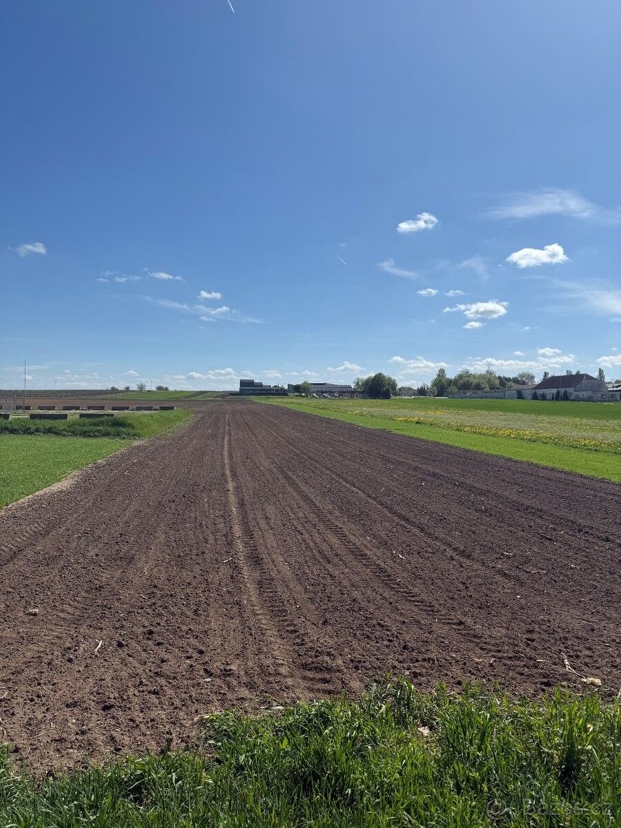 Zemědělské pozemky, Kostice u Břeclavě, 691 52, 7 787 m²