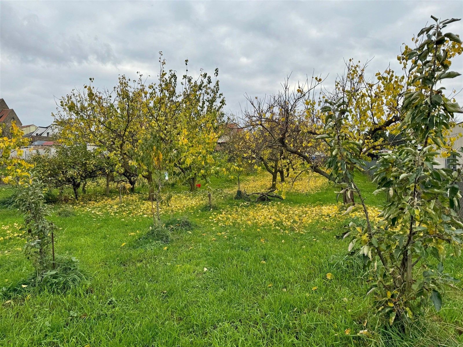 Zahrady, Zaječí, 1 198 m²