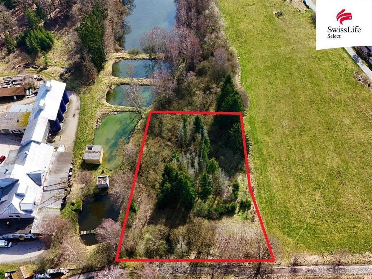 Prodej les - Jindřichův Hradec, 377 01, 4 442 m²