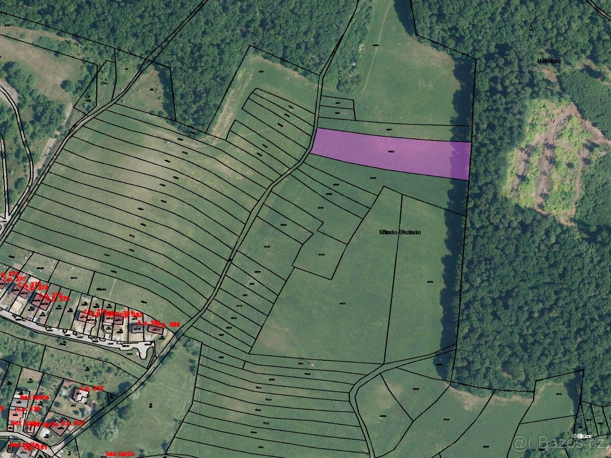 Prodej zemědělský pozemek - Bílovice nad Svitavou, 664 01, 5 202 m²