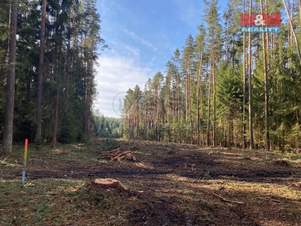 Lesy, Kardašova Řečice, 378 21, 7 764 m²