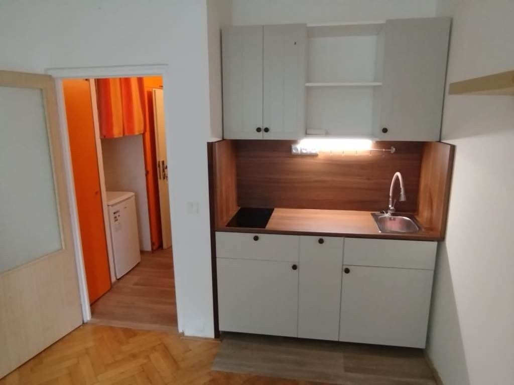 1+kk, Halasovo náměstí, Brno, 22 m²