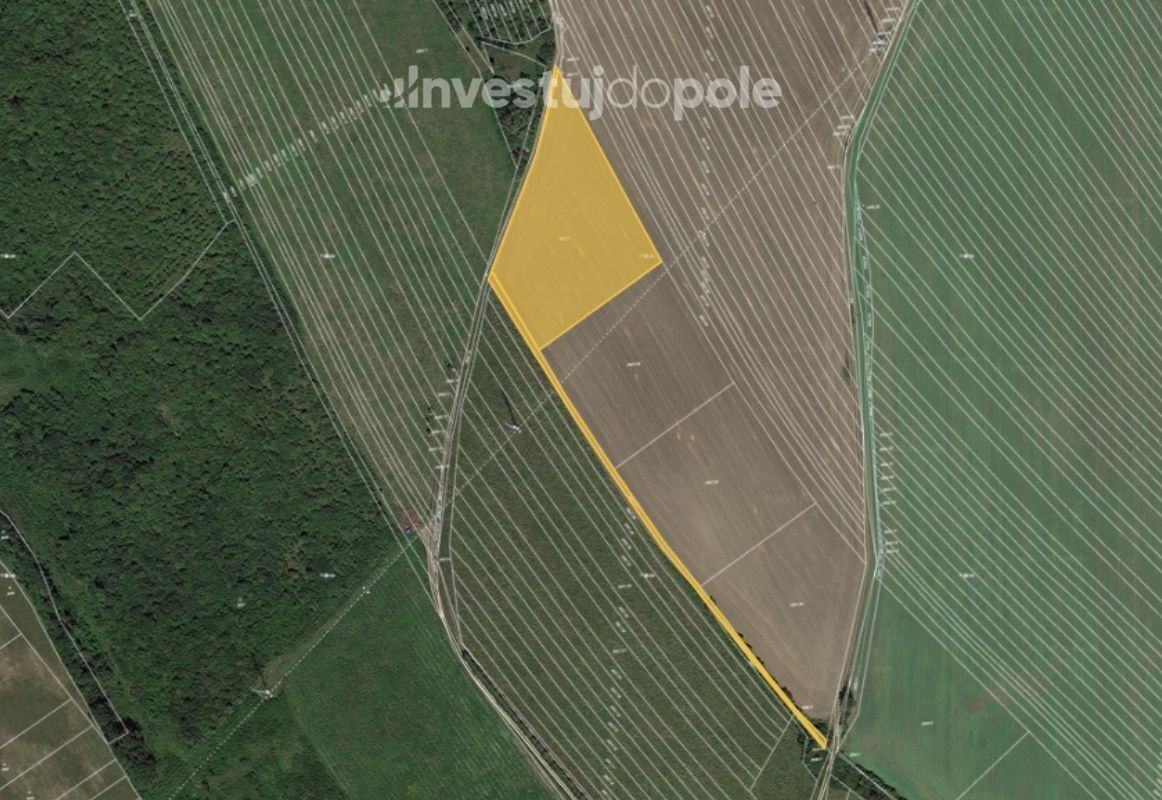 Zemědělské pozemky, Velká nad Veličkou, 2 063 m²