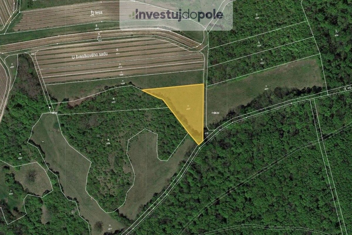 Louky, Horní Věstonice, 2 605 m²