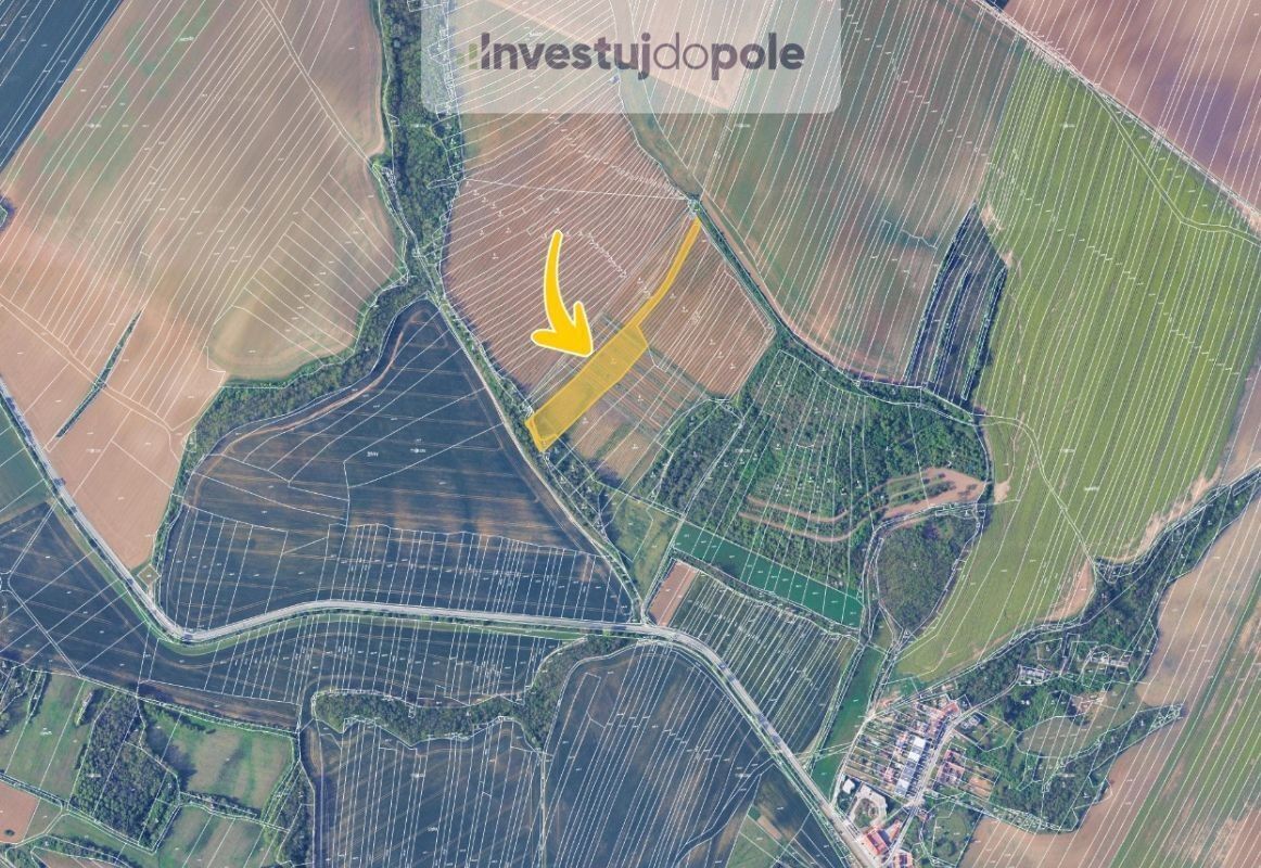Prodej pozemek - Mělčany, 8 175 m²