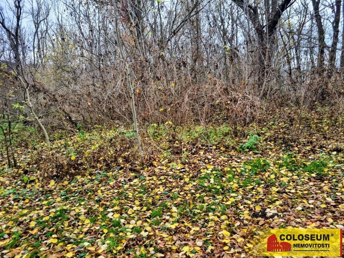Prodej pozemek pro bydlení - Rousínov u Vyškova, 683 01, 3 392 m²