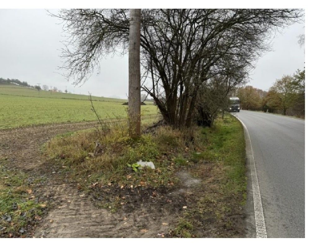 Prodej zemědělský pozemek - Zákupy, 471 23, 204 217 m²