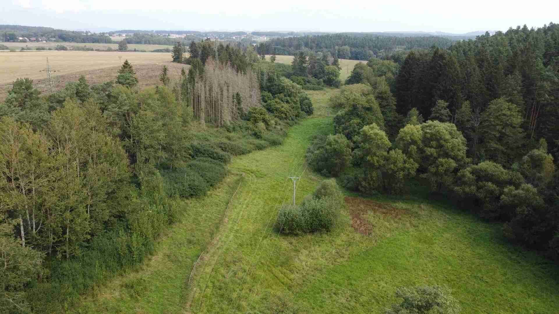Zemědělské pozemky, Tachov, 22 995 m²