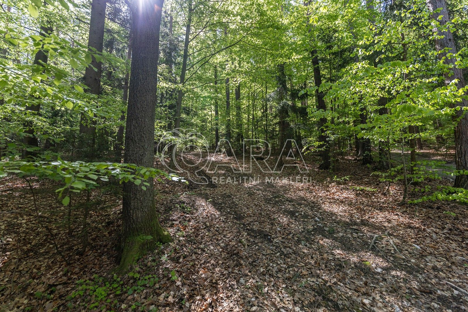 Lesy, Brloh, 28 851 m²