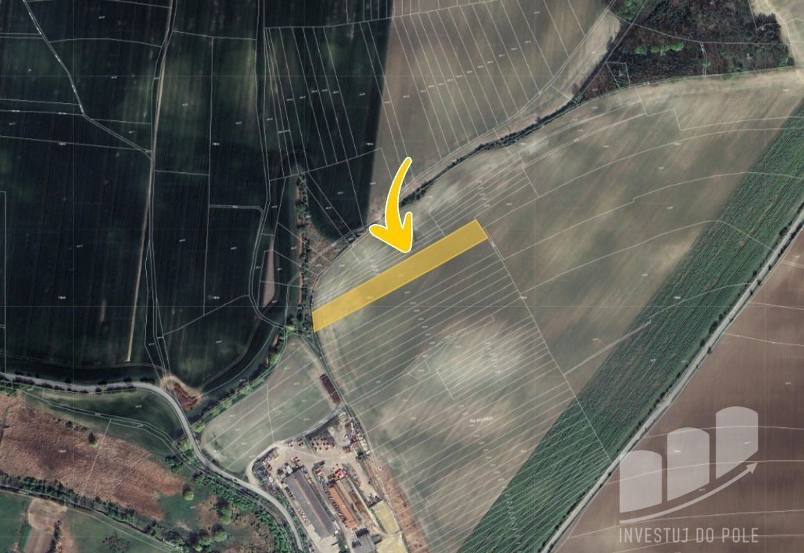 Prodej zemědělský pozemek - Olovnice, 6 132 m²