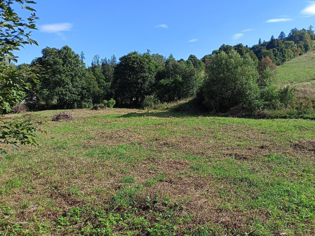 Prodej pozemek pro bydlení - Město Albrechtice, 793 95, 4 160 m²