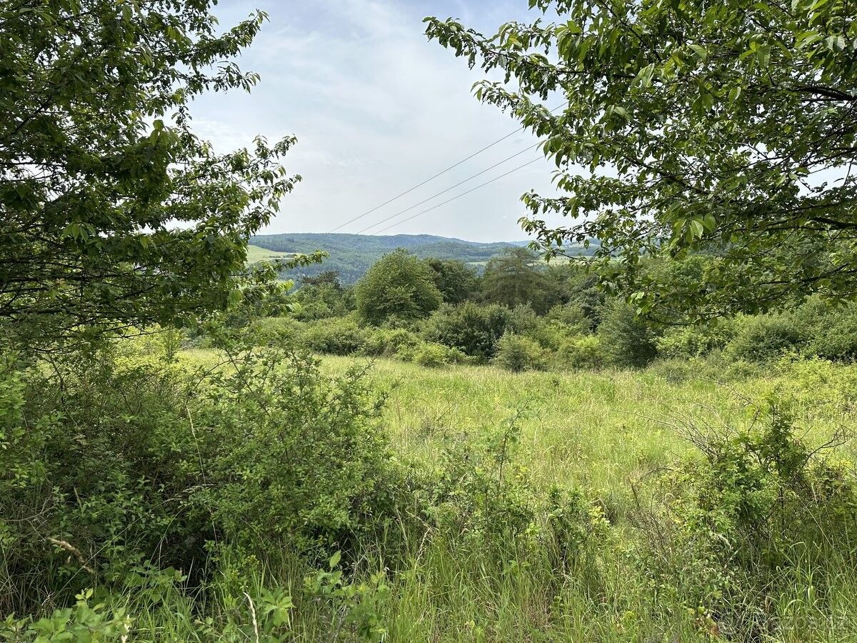 Prodej louka - Zbečno, 270 24, 2 165 m²