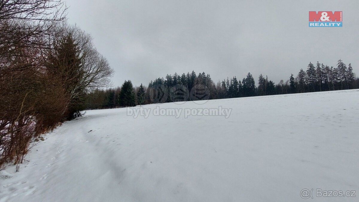 Lesy, Česká Třebová, 560 02, 60 981 m²