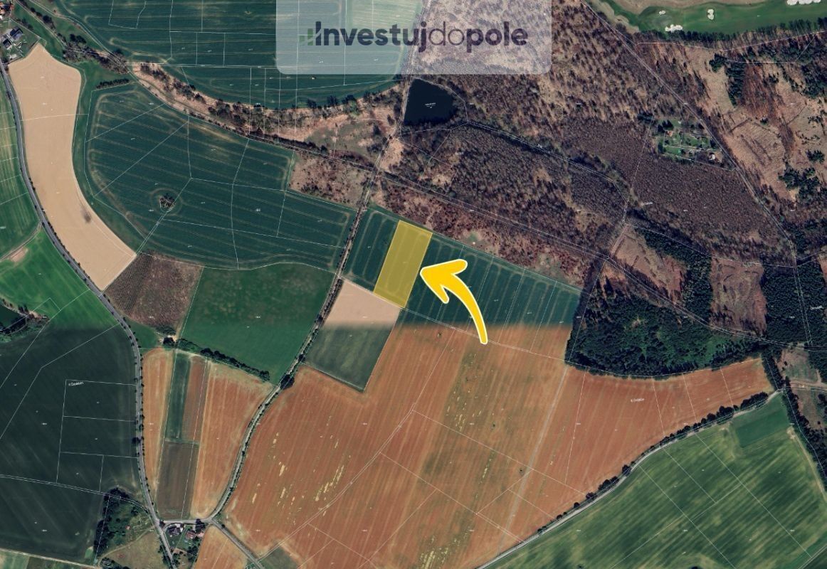 Prodej zemědělský pozemek - Čenětice, Křížkový Újezdec, 9 205 m²