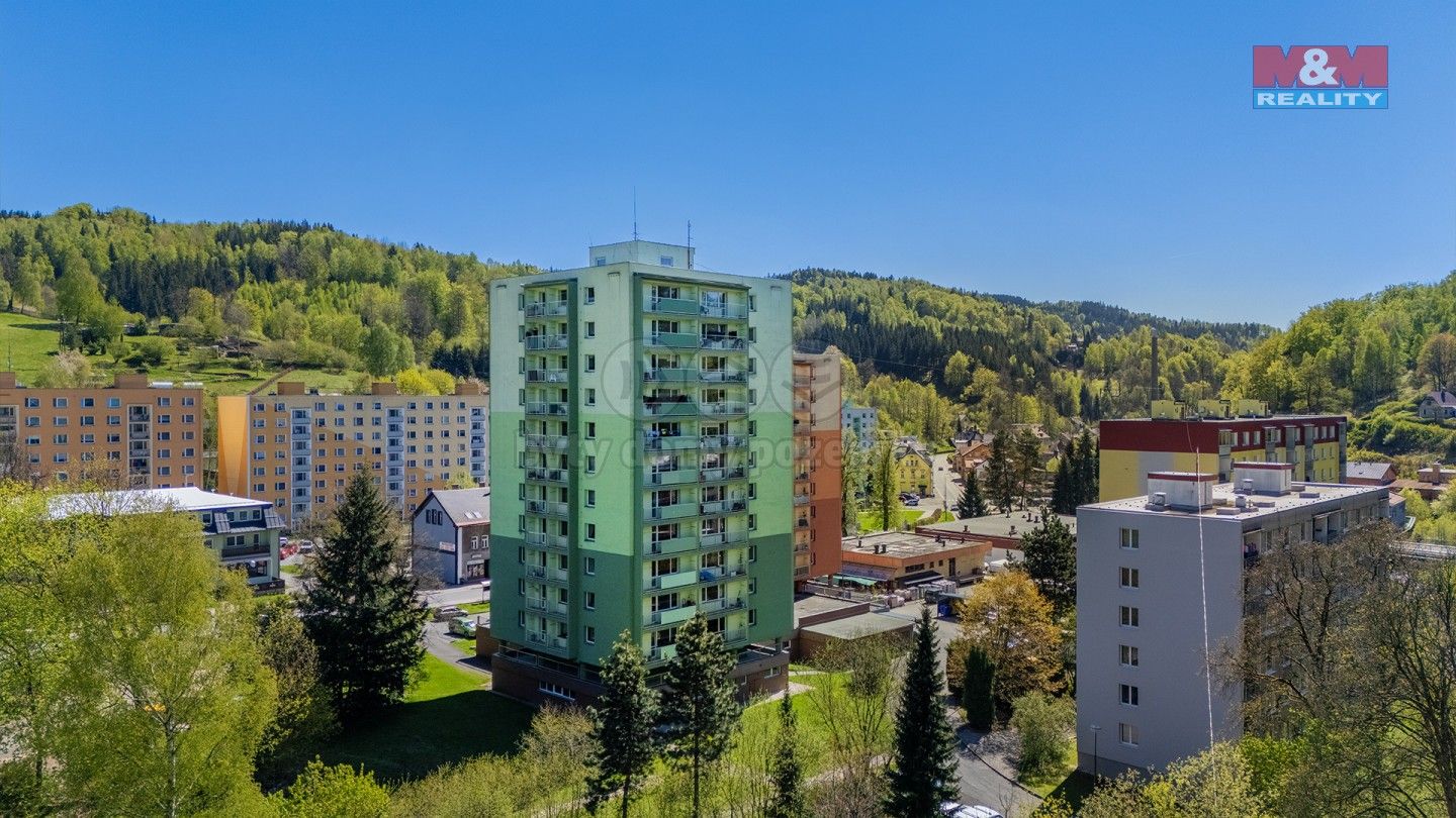 2+1, Krkonošská, Desná, 54 m²