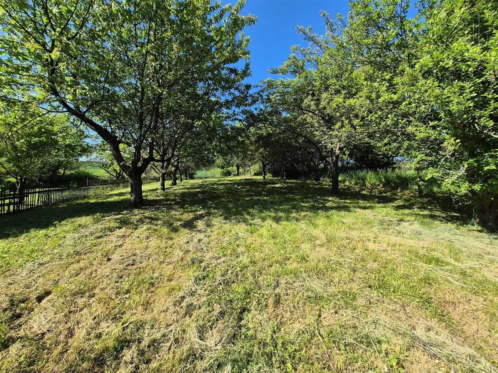 Zahrady, Omice, 1 271 m²