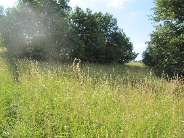 Prodej zemědělský pozemek - Březůvky, 763 45, 9 747 m²