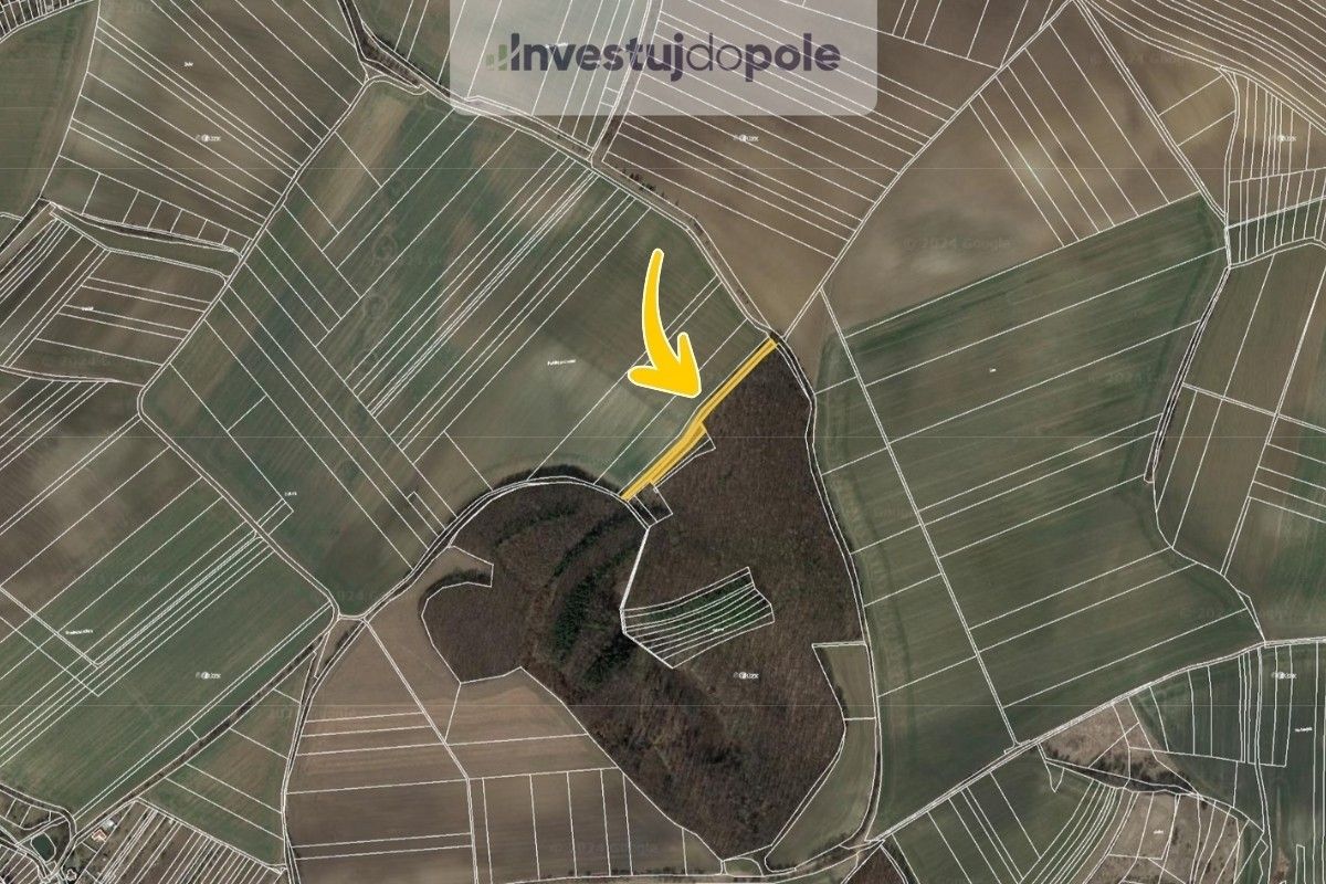 Prodej zemědělský pozemek - Černčín, Bučovice, 3 394 m²
