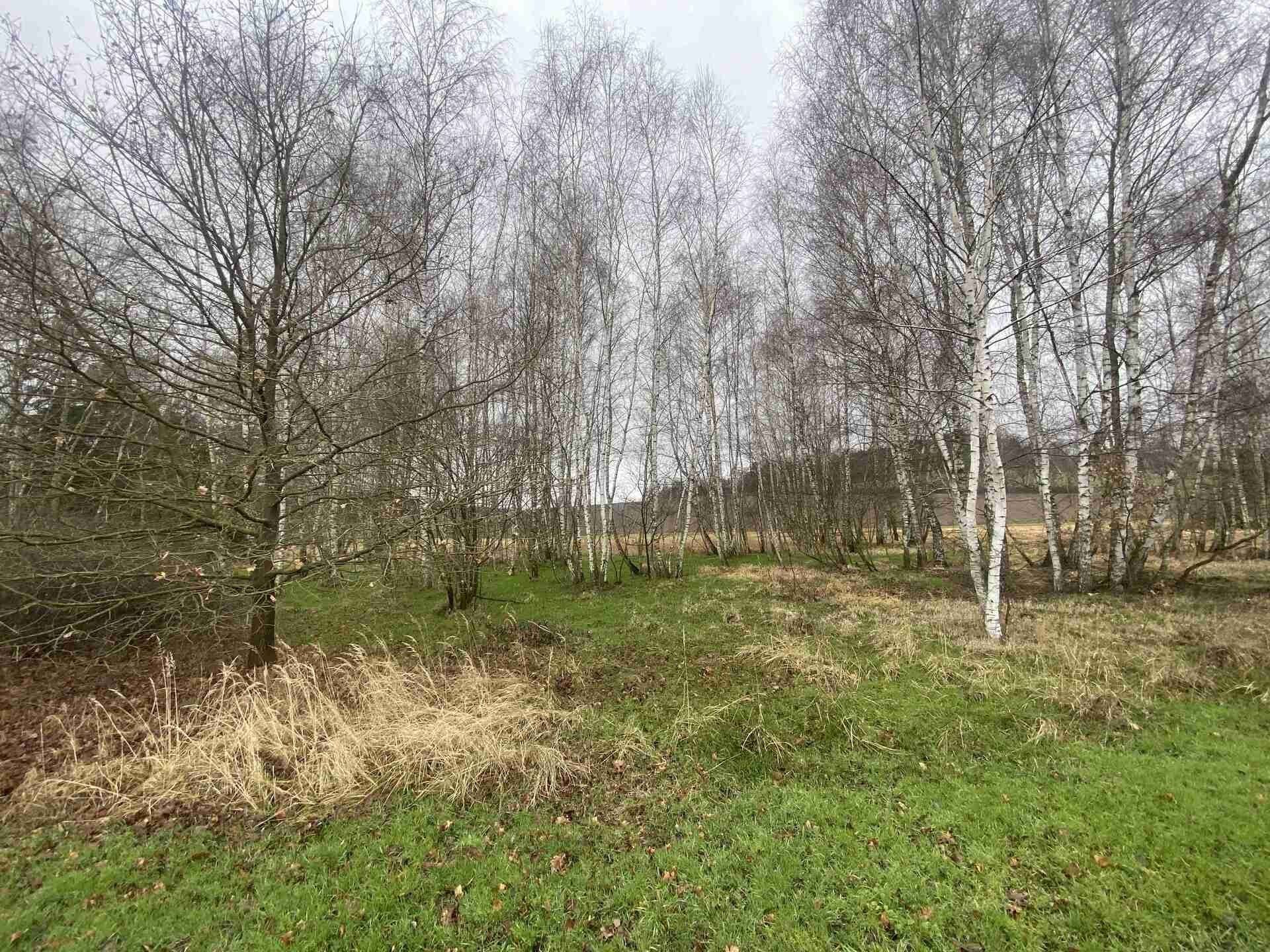 Ostatní, Dobřejovice, Hosín, 10 244 m²