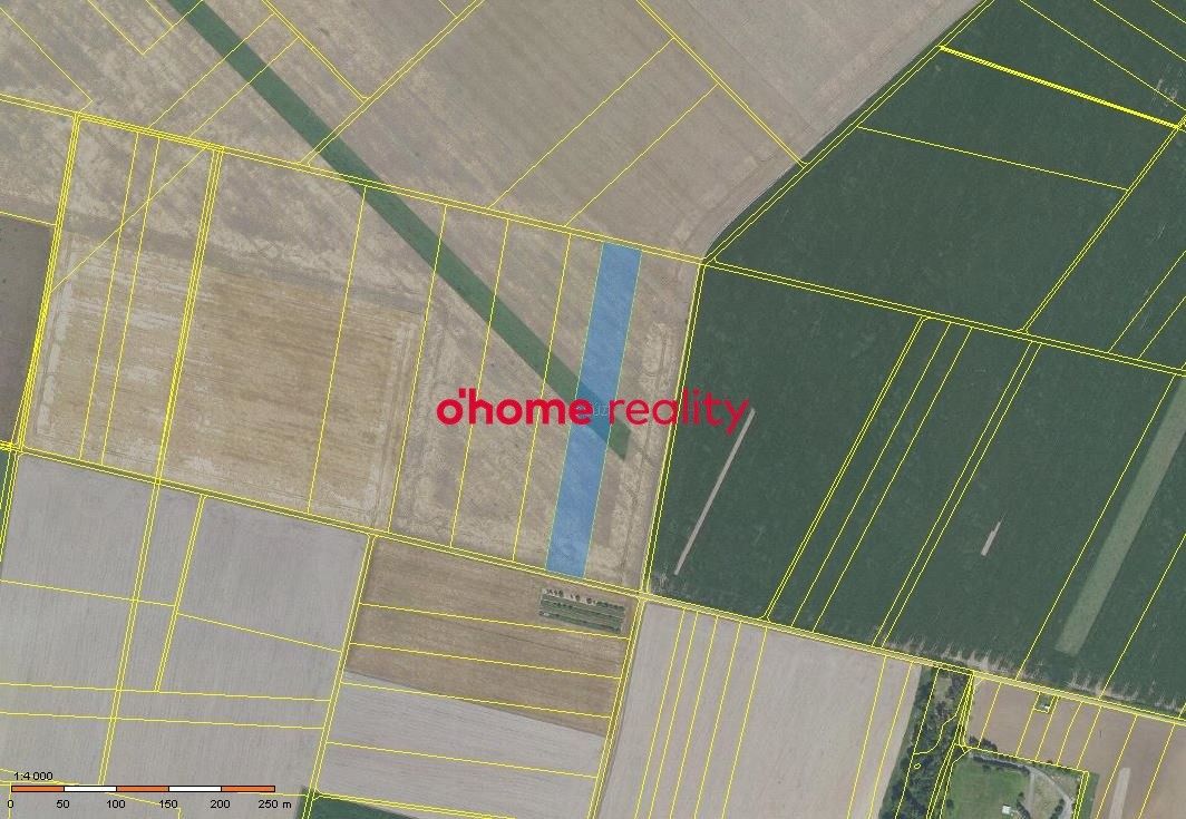 Zemědělské pozemky, Křelov-Břuchotín, 11 881 m²