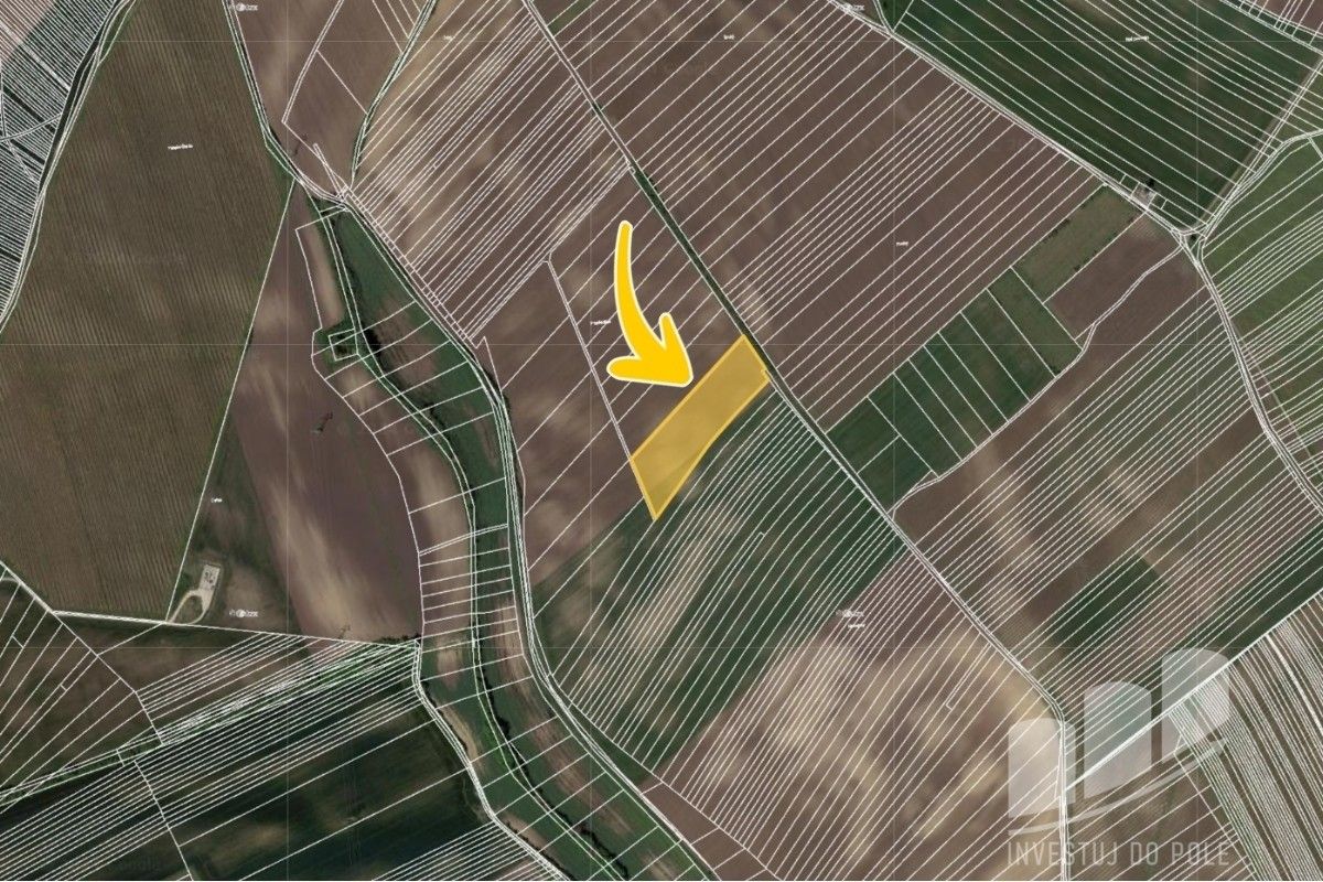 Prodej zemědělský pozemek - Nový Poddvorov, 11 711 m²