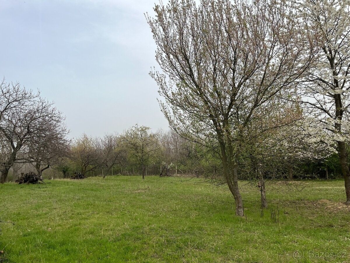Prodej les - Dolní Kounice, 664 64, 12 899 m²