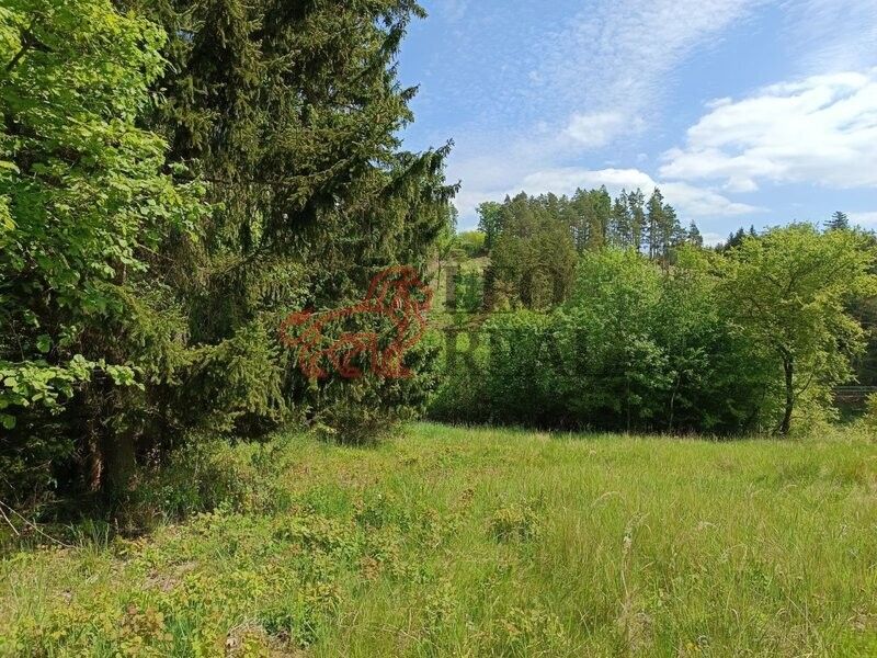 Pozemky pro bydlení, Jevíčko, 569 43, 4 075 m²
