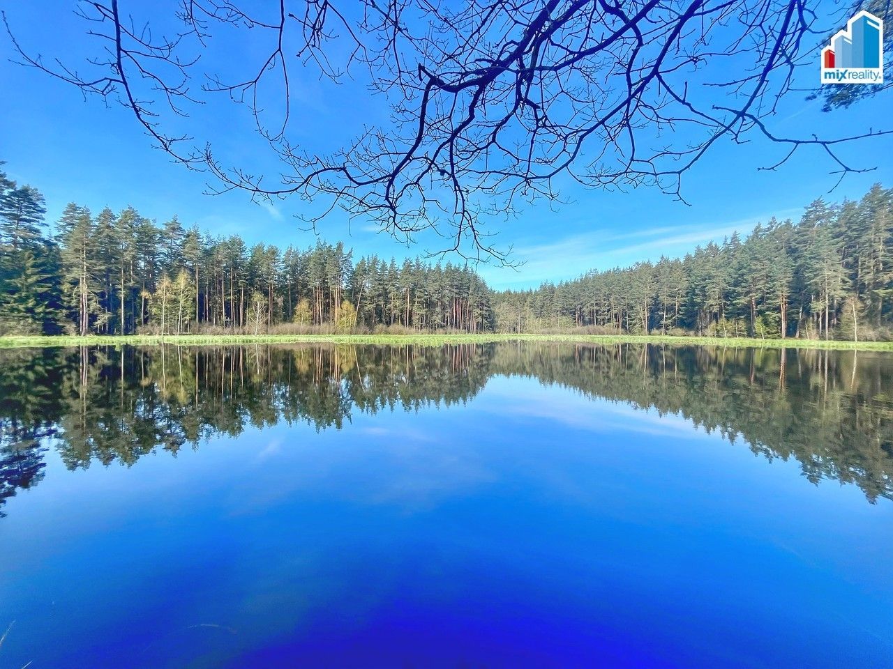 Prodej rybník - Trstěnice, Cheb, 16 545 m²