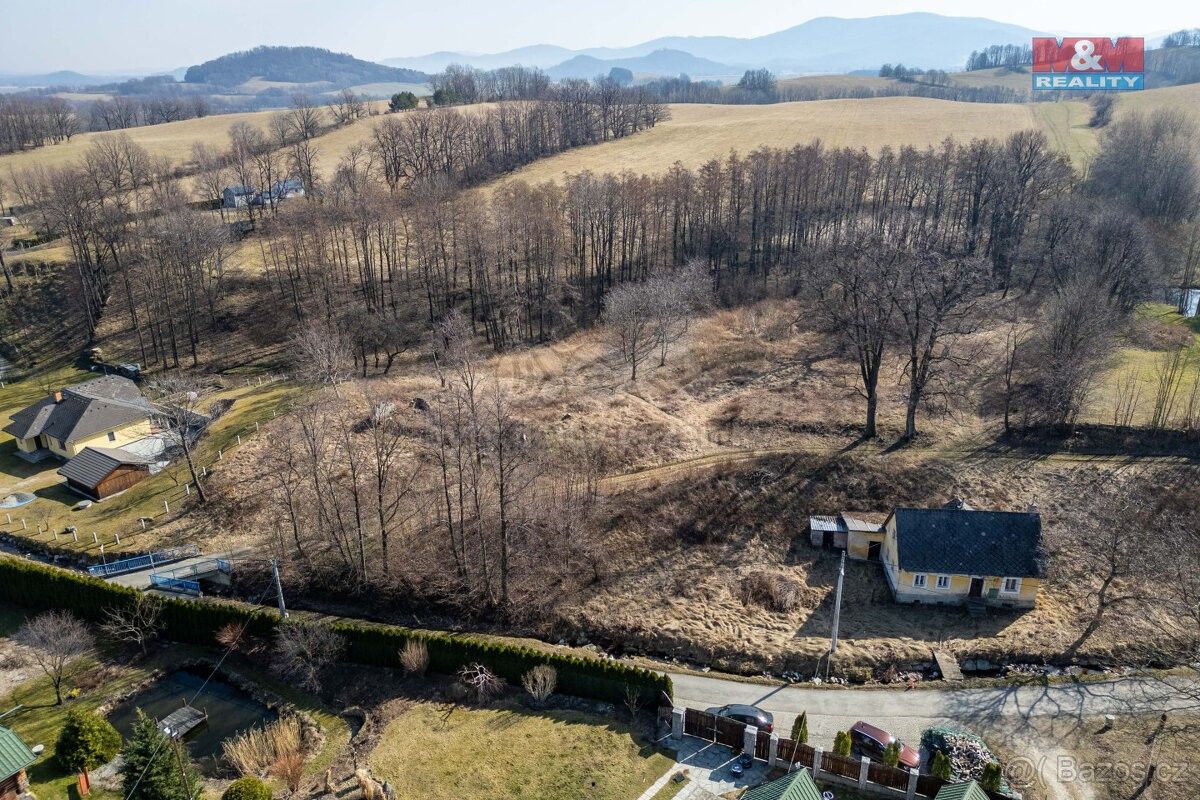 Prodej les - Žulová, 790 65, 5 869 m²
