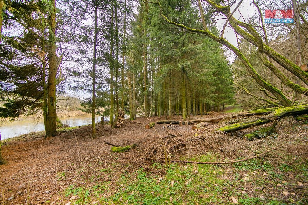 Prodej les - Zruč-Senec, 330 08, 3 632 m²