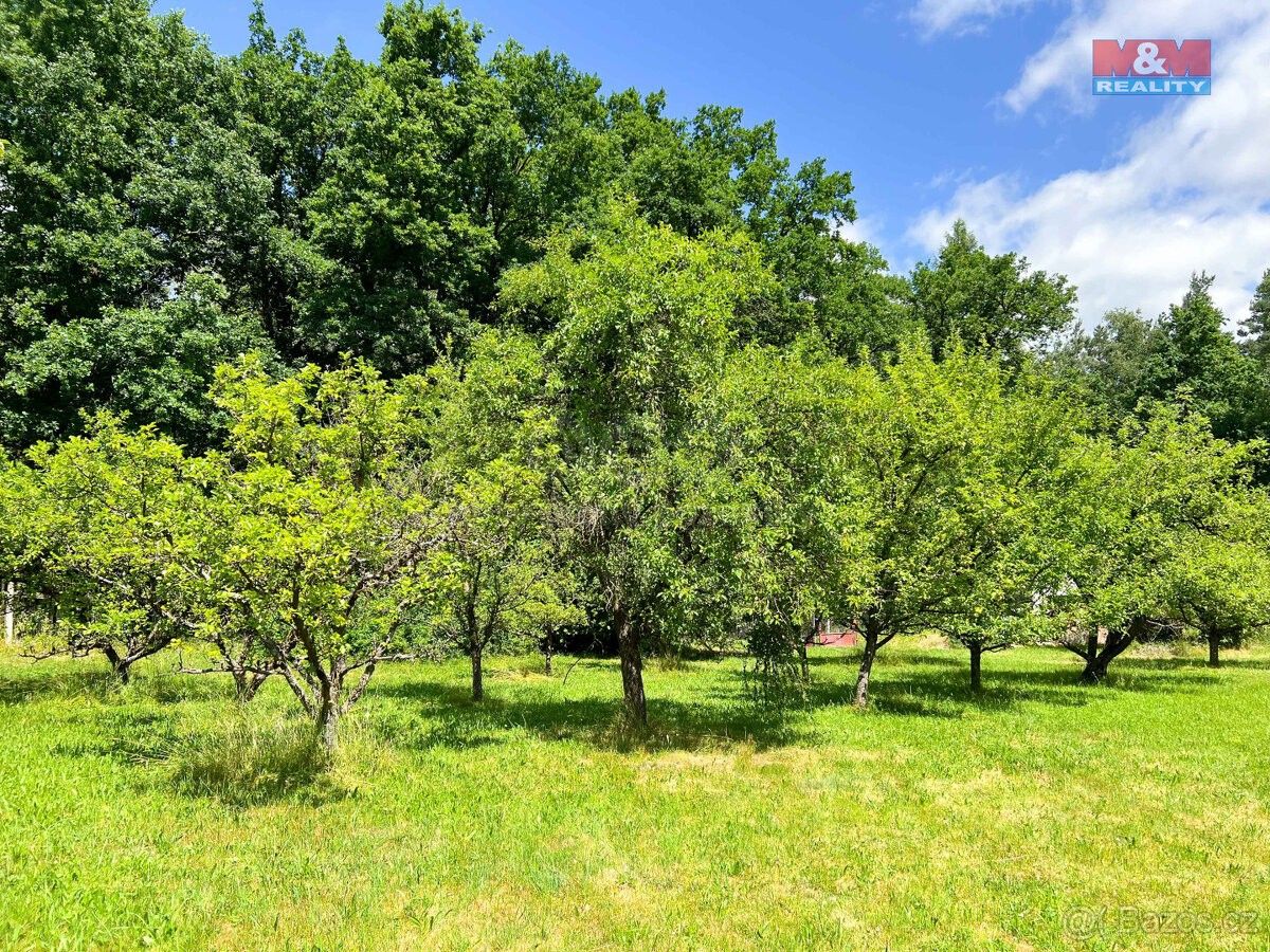 Prodej zahrada - Strakonice, 386 01, 2 504 m²