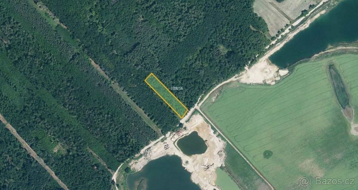 Prodej les - Svatobořice, 696 04