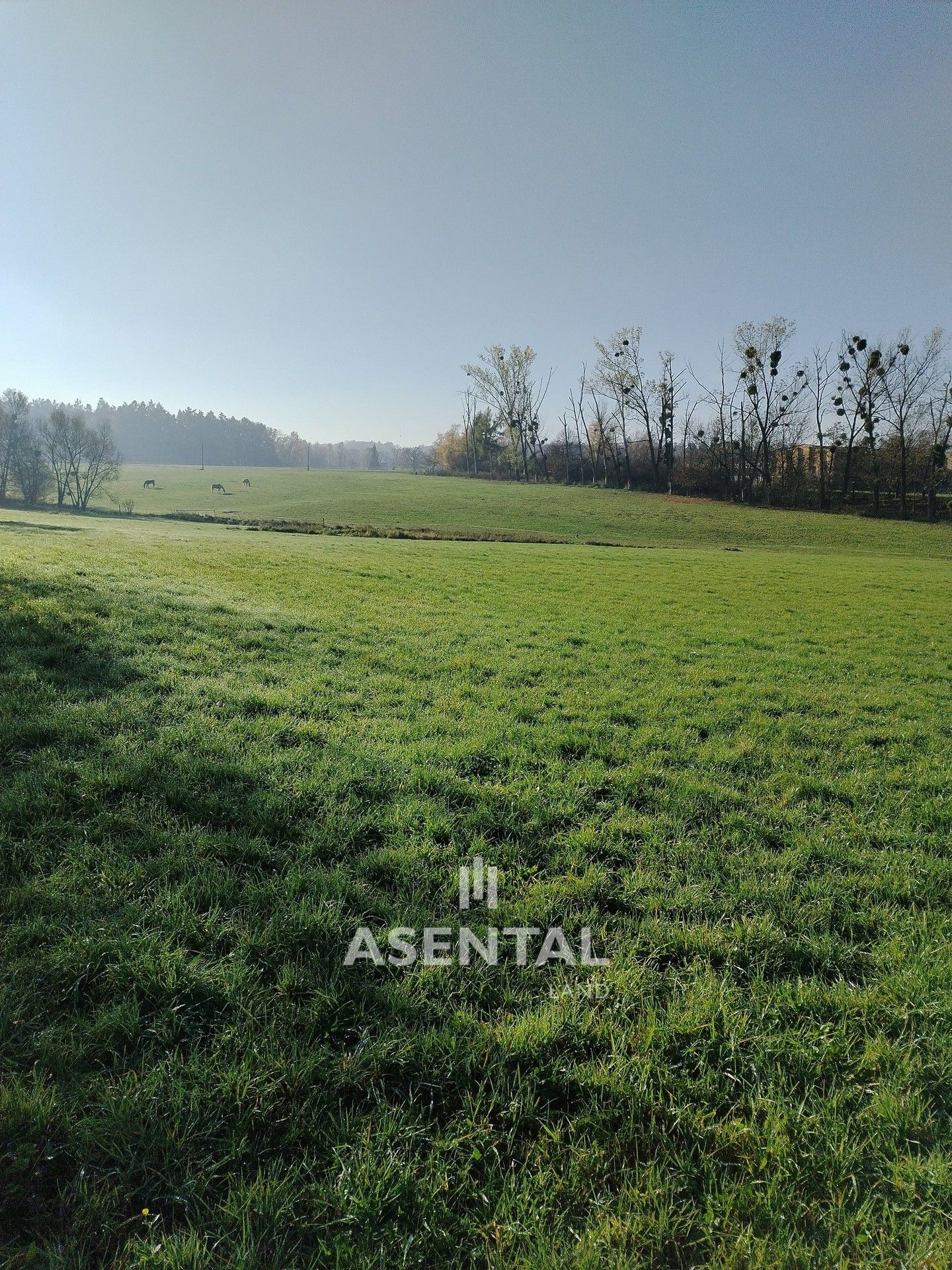 Zemědělské pozemky, Kolmá, Horní Suchá, 7 427 m²
