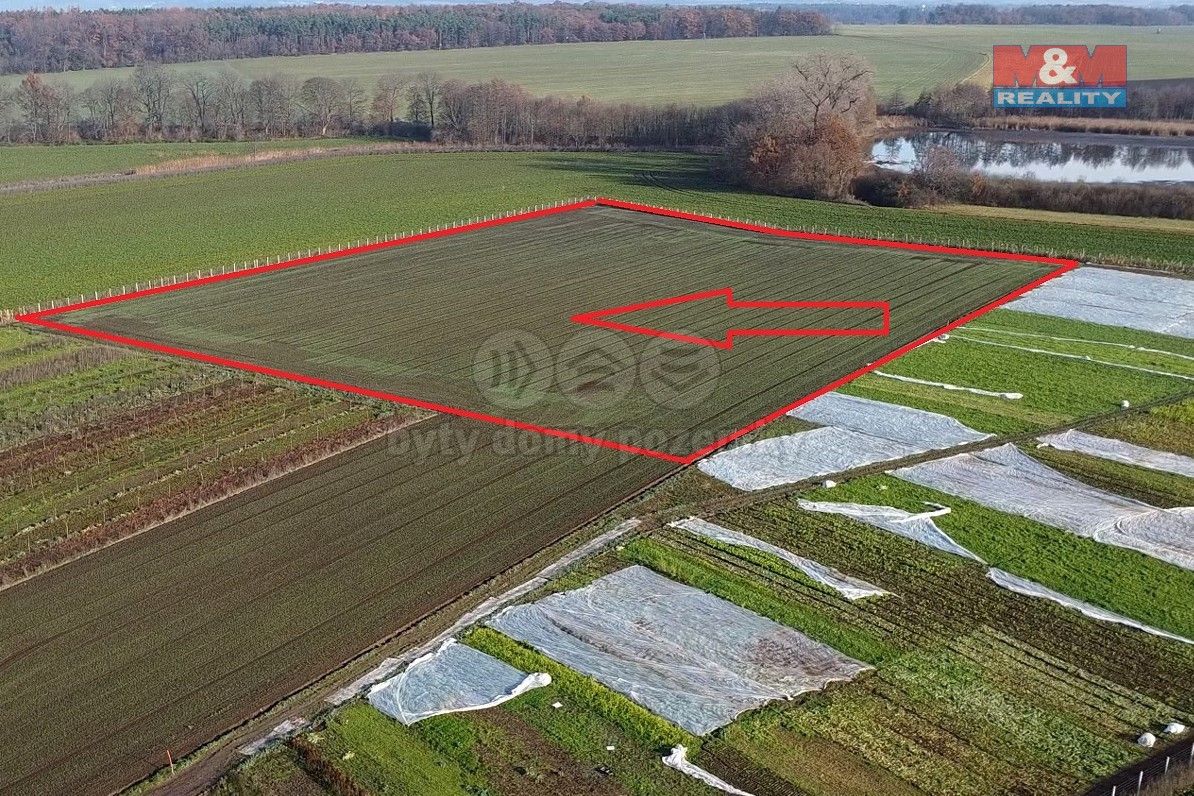 Prodej zemědělský pozemek - Nové Dvory u Kutné Hory, 285 31, 9 979 m²